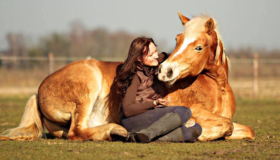 Shilas & Eva; Sunset playtime with beautiful haflinger